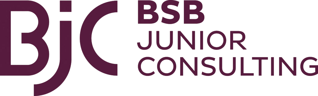 BSB Junior Consulting